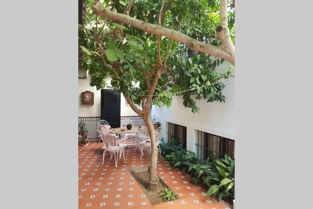 Casa En Granada Con Hermoso Jardin, Parking Calle Eksteriør bilde